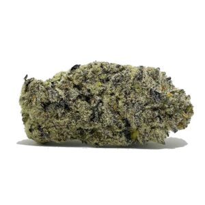 Try Alien Tarantula Now | Buy From shrooms-cannabis.com Today