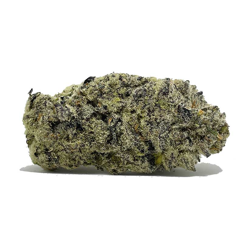 Try Alien Tarantula Now | Buy From shrooms-cannabis.com Today