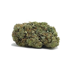 Essayez d'acheter le meilleur Berry White AAA Shrooms-Cannabis.com | Shrooms-Cannabis.com