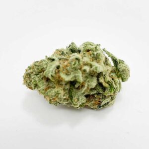 Try Big Skunk Korean Now | Buy from shrooms-cannabis.com