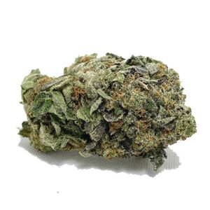 Commander des champignons et du cannabis AAA Black Bubba en ligne maintenant | shrooms-cannabis.com