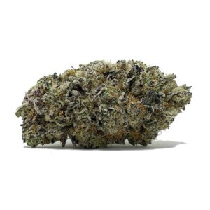 Commander Blackberry Breath Weed maintenant pour les meilleures affaires | shrooms-cannabis.com