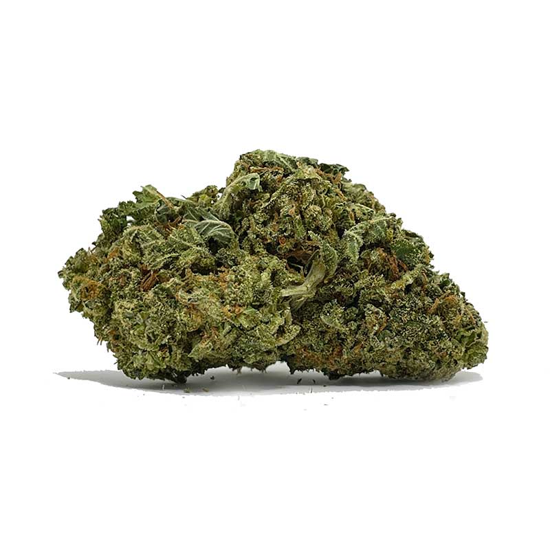 Order Blueberry Diesel AA Shrooms-Cannabis Now | shrooms-cannabis.com