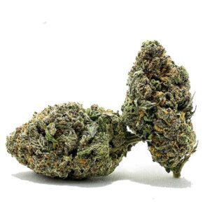 Order Delicious Candy Cane | shrooms-cannabis.com - Get Your Best Sweet Treat Now!