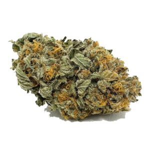 Commandez Cheese AA maintenant | Obtenez des champignons de qualité-Cannabis.com