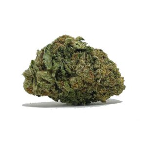 Commander Death Bubba AA dès maintenant | shrooms-cannabis.com - Obtenez la variété la plus puissante disponible aujourd'hui