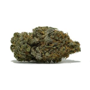 Order Now Gas Monkey AA | Shrooms-Cannabis.com - Get The Best Quality Products For You !