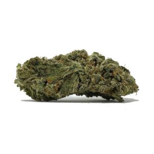 Commandez Gelato AA Shrooms-Cannabis.com | Préparez-vous à un voyage sucré !