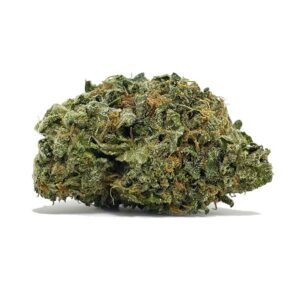 Try Buy Gorilla Bomb AA | shrooms-cannabis.com for the Best Quality Product