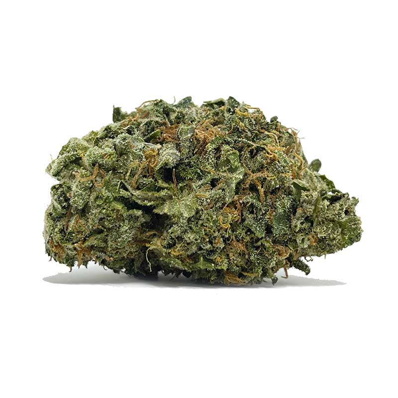 Try Buy Gorilla Bomb AA | shrooms-cannabis.com for the Best Quality Product