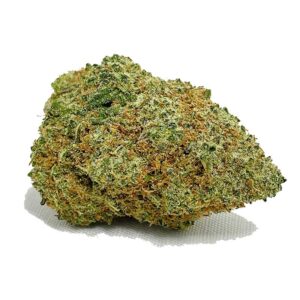 Order Great White Shark AA Now | shrooms-cannabis.com - Get the Best Quality and Price !