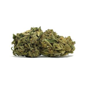 Achetez le Saint Graal AA maintenant | Shrooms-Cannabis.com