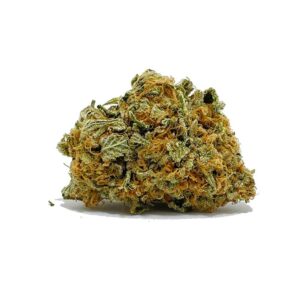 Essayez d'acheter du Jet Fuel AA chez shrooms-cannabis.com | shrooms-cannabis.com