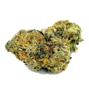 Commander AAA Khalifa Kush Champignons et Cannabis en ligne | shrooms-cannabis.com