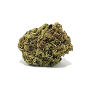 Commander Kush Mint AA maintenant | Shrooms-Cannabis.com