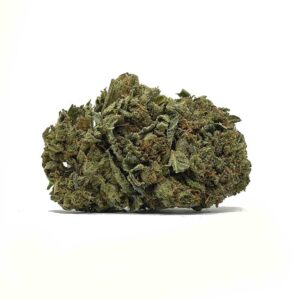 Commander Master Kush AA | shrooms-cannabis.com - Acheter du Cannabis de Qualité Supérieure en ligne