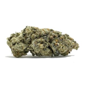 Acheter Miracle Alien Cookies #1 maintenant | Shrooms-Cannabis.com