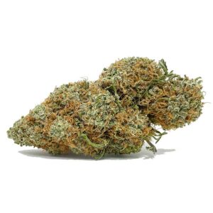 Order Orange Creamsicle AAA | shrooms-cannabis.com - Buy the Highest Quality Cannabis Now !
