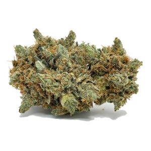 Commandez Orange Skunk AA | Shrooms-Cannabis.com pour une qualité maximale et une saveur fruitée.