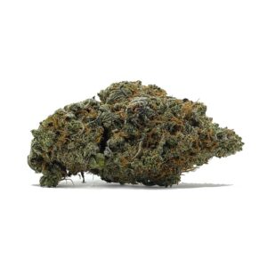 Essayez d'acheter du Pink Kush AA | shrooms-cannabis.com