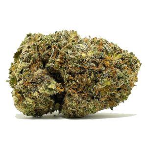 Commander AAA Pink Tuna Shrooms & Cannabis Online | shrooms-cannabis.com