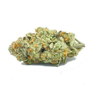 Commander Raspberry Dosido AAA maintenant | shrooms-cannabis.com