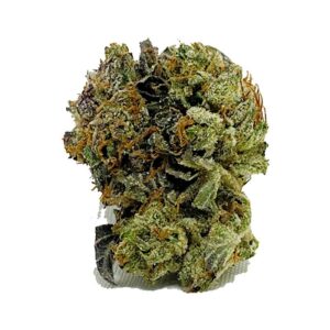 Commandez dès à présent Rockstar Kush AA Shrooms-Cannabis.com et obtenez la meilleure qualité !