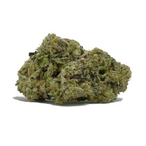 Buy Royal Cookies AAAA Now | shrooms-cannabis.com - Obtenez la meilleure qualité garantie