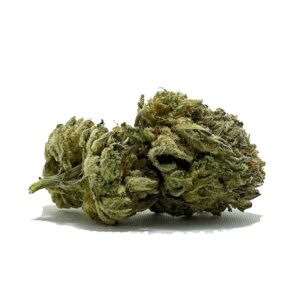Acheter Space Monster AAAA maintenant | Shrooms-Cannabis.com