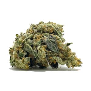 Commander AAA Sunset Sherbert Shrooms & Cannabis | shrooms-cannabis.com