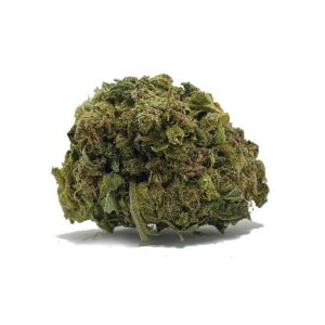 Essayez d'acheter Sweet Skunk AA Shrooms-Cannabis.Com | Obtenez les meilleurs retours maintenant