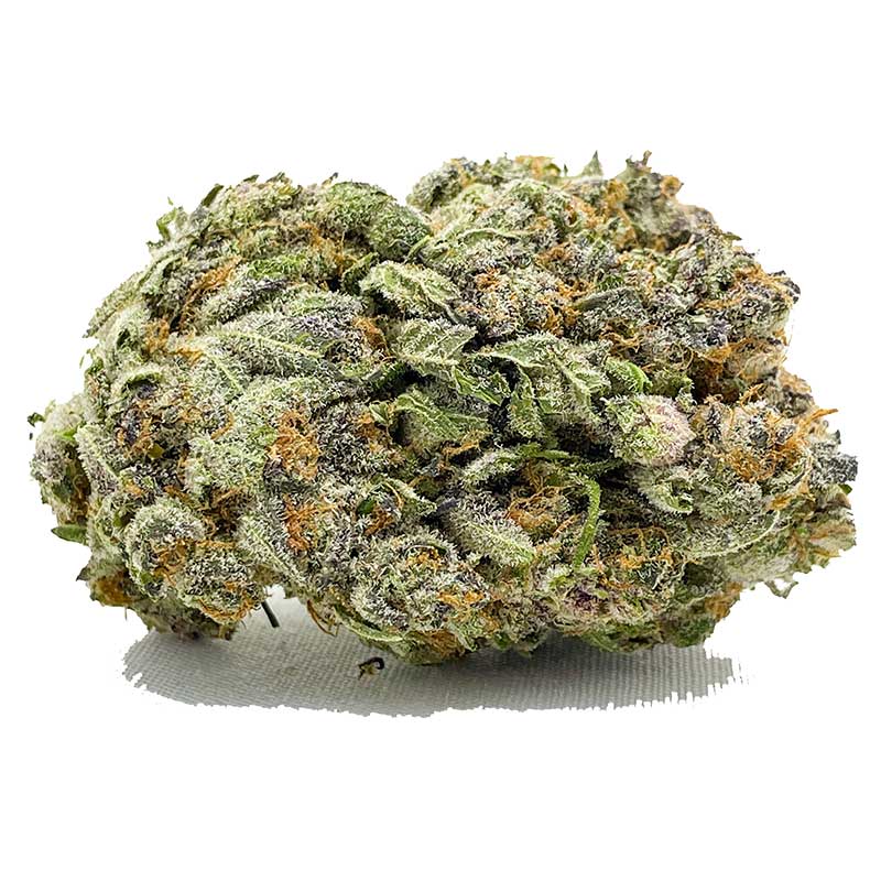 Buy Thin Mint AAA Shrooms & Cannabis at shrooms-cannabis.com| shrooms-cannabis.com