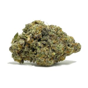 Essayez le Tropic Truffle AAAA | Acheter des Champignons et du Cannabis en ligne | shrooms-cannabis.com
