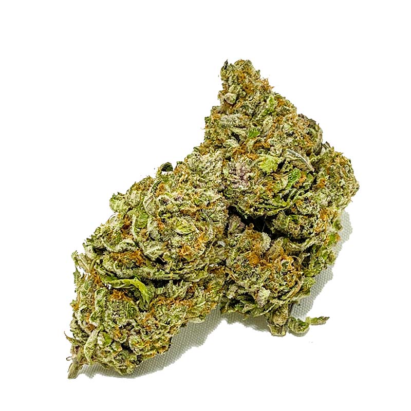 Order Tropicana Cookies X Slurricane AAA Now | shrooms-cannabis.com