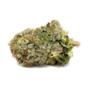 Commandez AAAA Tuna Kush maintenant | Shrooms-Cannabis.Com