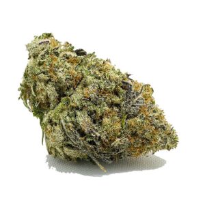Commander Vanilla ICE AAA maintenant | Shrooms-Cannabis.com