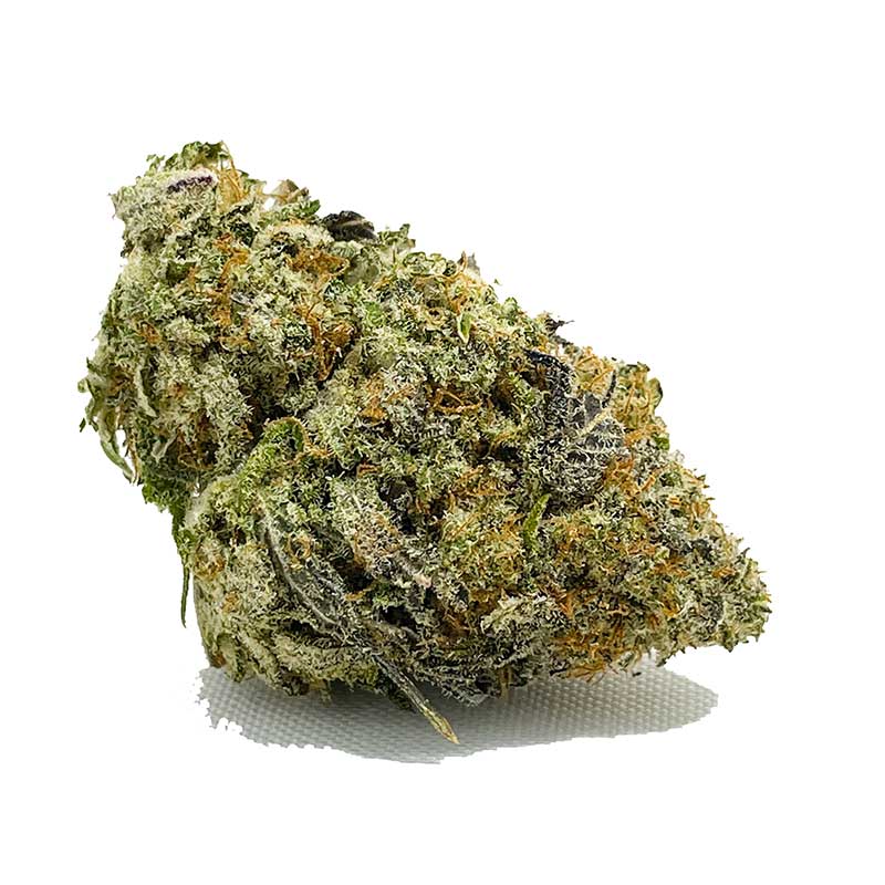 Order Vanilla ICE AAA Now | Shrooms-Cannabis.com