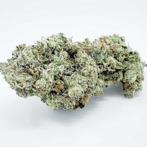 Commander Wedding Crasher AAA | Obtenir les meilleures offres à shrooms-cannabis.com