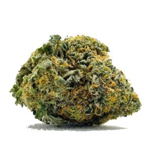 Acheter White Rhino AA Shrooms & Cannabis | shrooms-cannabis.com