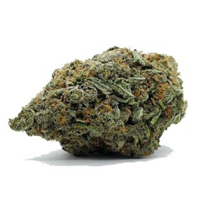 Commander Zombie OG AAA maintenant | Obtenir la meilleure qualité sur shrooms-cannabis.com