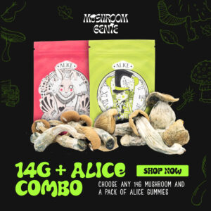 Order Now | Crazy Shrooms & Edibles Pack at shrooms-cannabis.com
